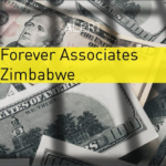 New Report Unveils CIO’s Covert Funding to FAZ During Zimbabwe’s Contested Elections