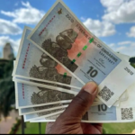 ZIMBABWE’S CURRENCY CHAOS THREATENS ECONOMIC STABILITY